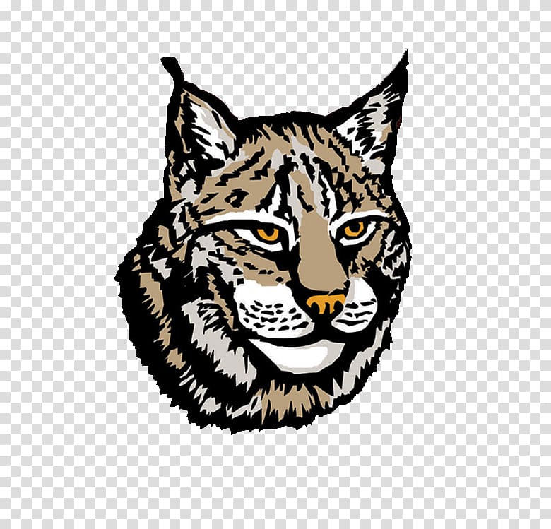 Canada lynx , others transparent background PNG clipart