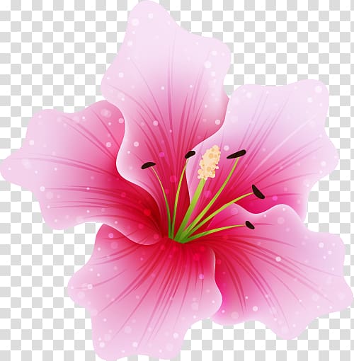 Pink flowers Fuchsia , jasmin flower transparent background PNG clipart