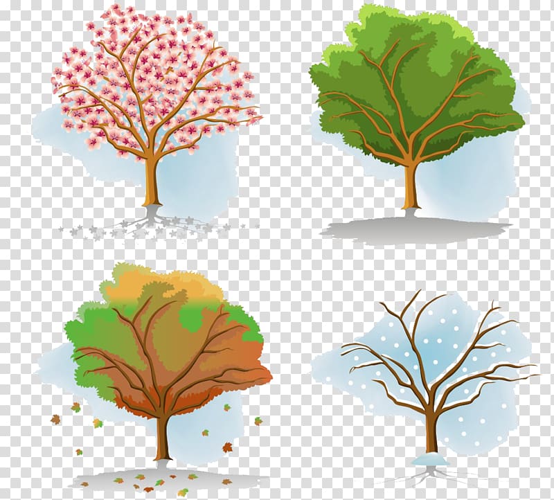 four trees , Tree Season Autumn, Four Seasons Tree children transparent bac...