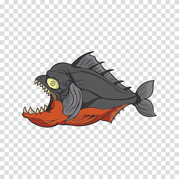 Red-bellied piranha Redeye piranha T-shirt Fish, T-shirt transparent background PNG clipart