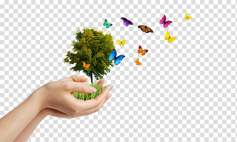 Go Green for Earth Day 22 April Natural environment, earth transparent background PNG clipart