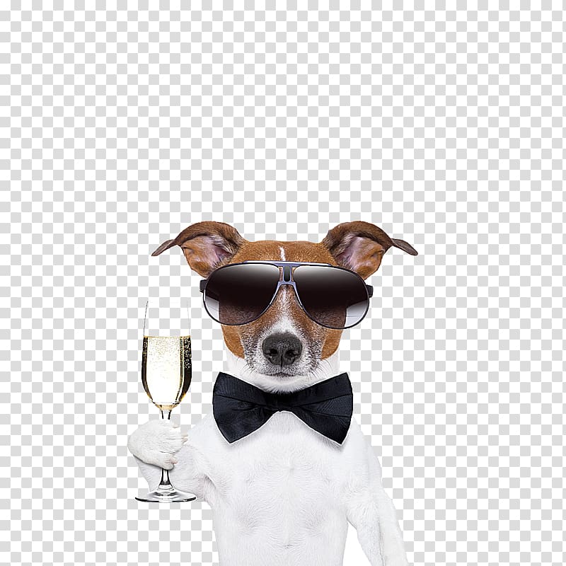 French Bulldog Pug Cocktail Martini Puppy, White male dogs toast transparent background PNG clipart