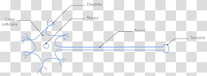 Line Point Angle, line transparent background PNG clipart thumbnail