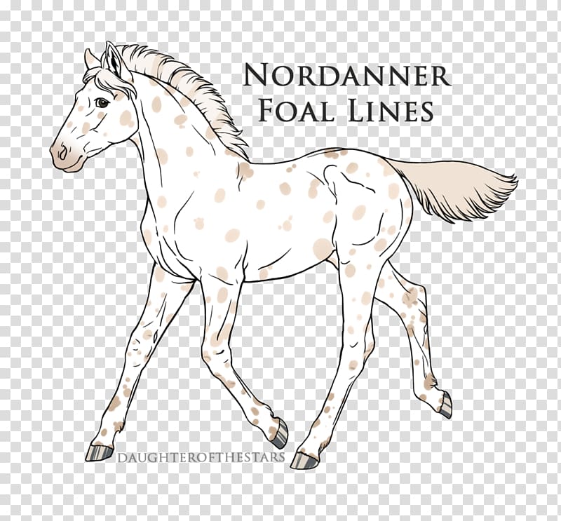 Simba Line art Horse Pony Drawing, saved by the bell transparent background PNG clipart