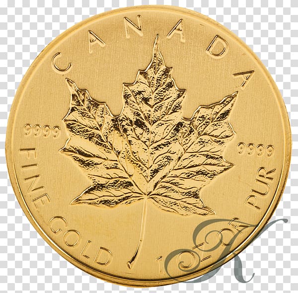 Canadian Gold Maple Leaf Bullion coin Krugerrand, gold transparent background PNG clipart