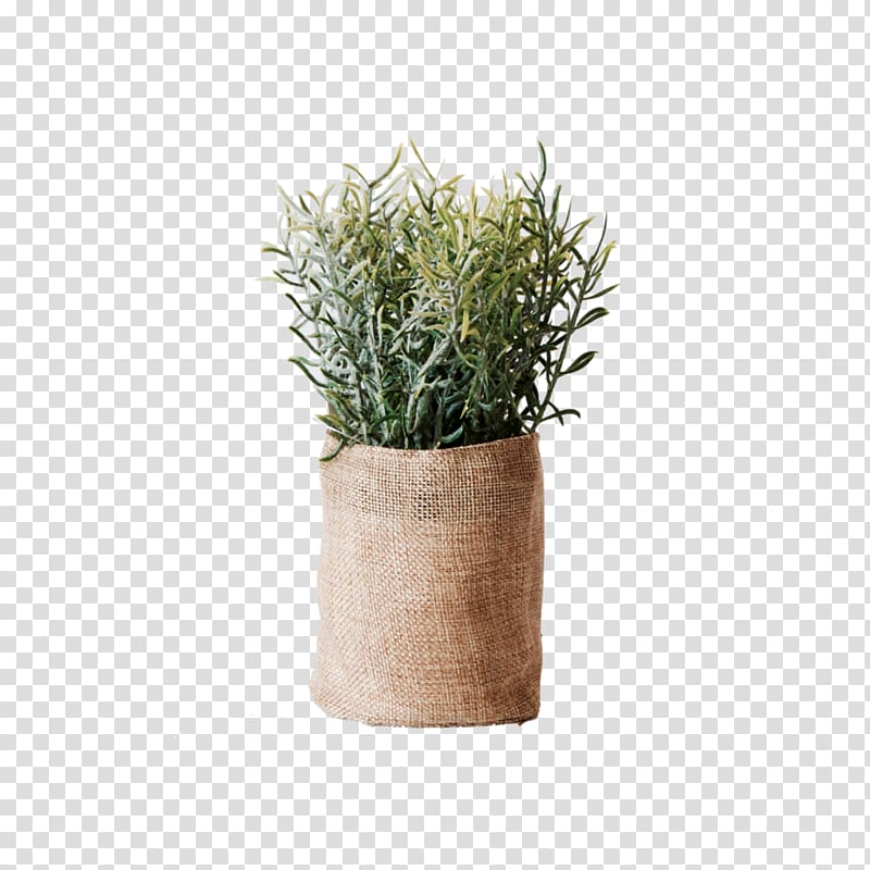 Flowerpot Vase Herb Ceramic Plant, vase transparent background PNG clipart