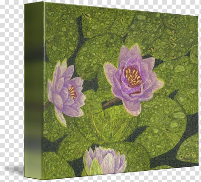 Fine art Painting Mural Canvas, painting transparent background PNG clipart