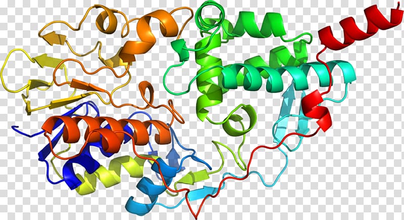 Monoamine oxidase Scientist Nature 20th century , others transparent background PNG clipart