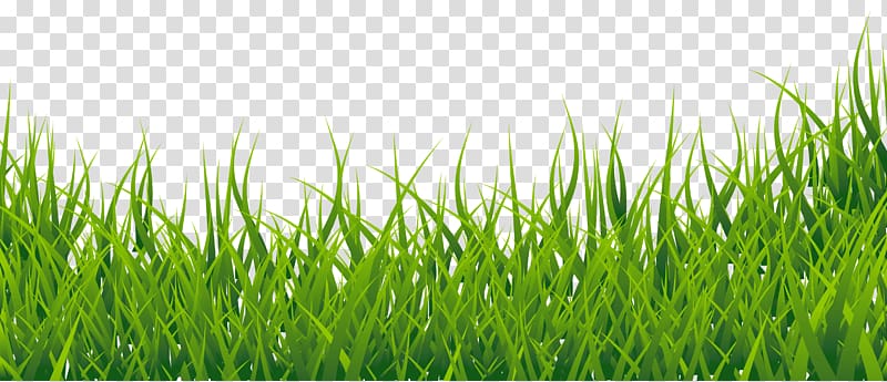 Thumbnail , Grass , green grass against blue background transparent background PNG clipart