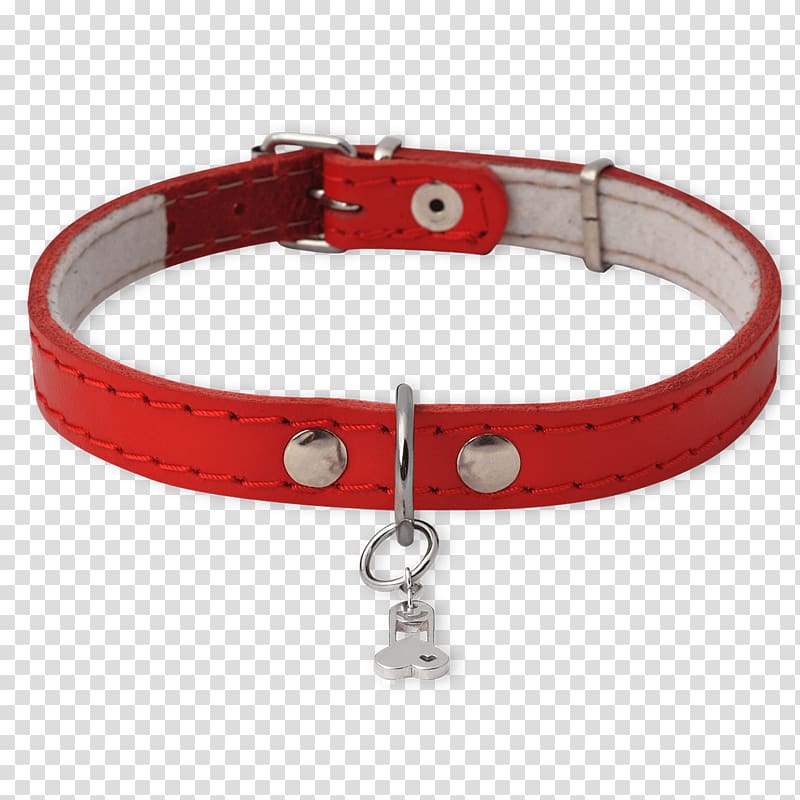 Dog collar, dog with collar transparent background PNG clipart