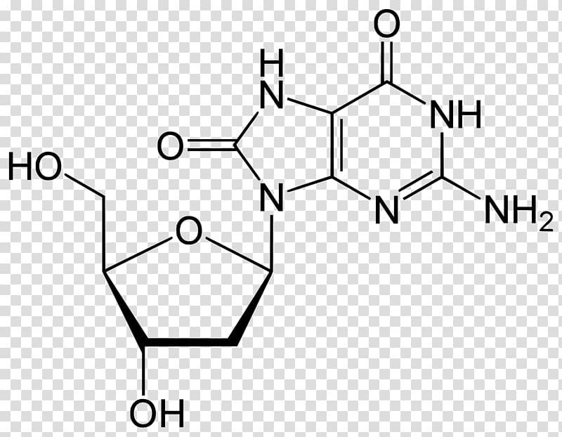 Purine Uric acid Nucleic acid Adenine, others transparent background PNG clipart