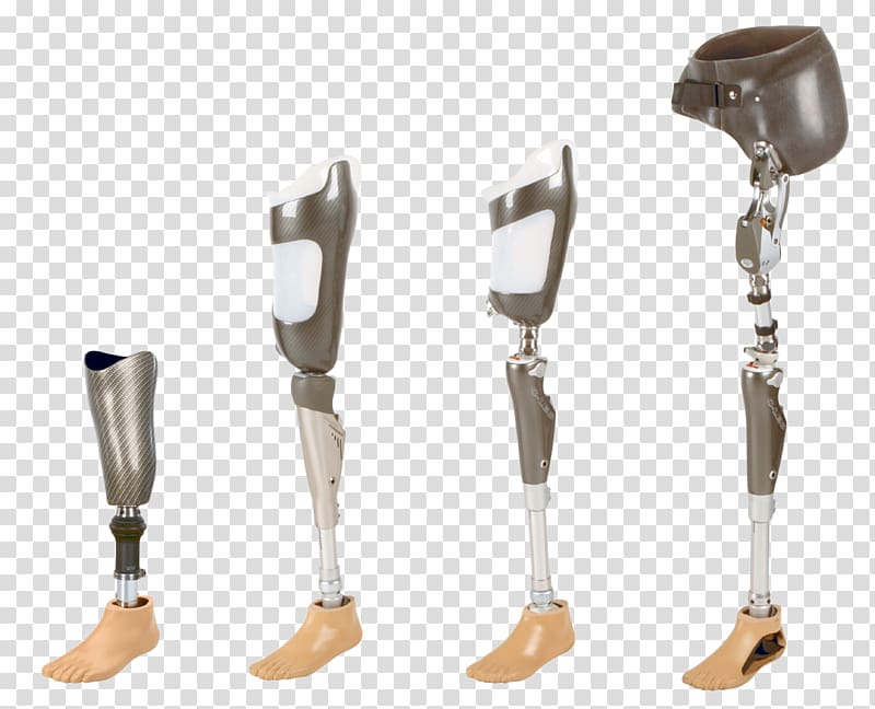 Prosthesis Limb Orthotics Health Care Human leg, others transparent background PNG clipart