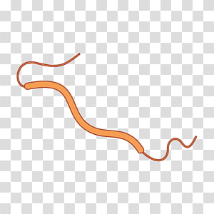 Line Point , line transparent background PNG clipart thumbnail