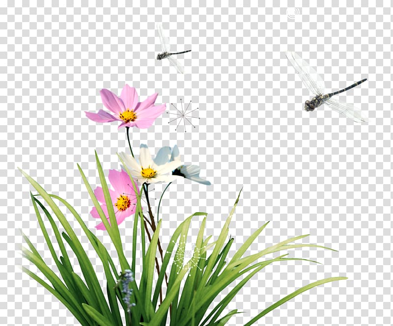 Floral design Flower Icon, Dragonfly with flowers transparent background PNG clipart