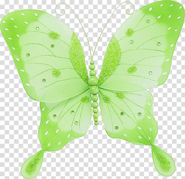 Brush-footed butterflies Butterfly gardening Insect, butterfly transparent background PNG clipart