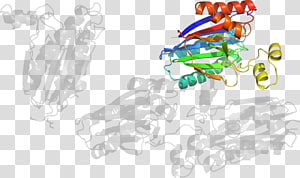 Graphic design Drawing , design transparent background PNG clipart thumbnail