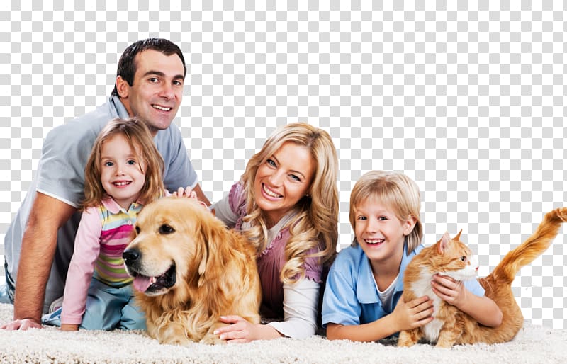 South Howard Animal Clinic Carpet cleaning Family, carpet transparent background PNG clipart