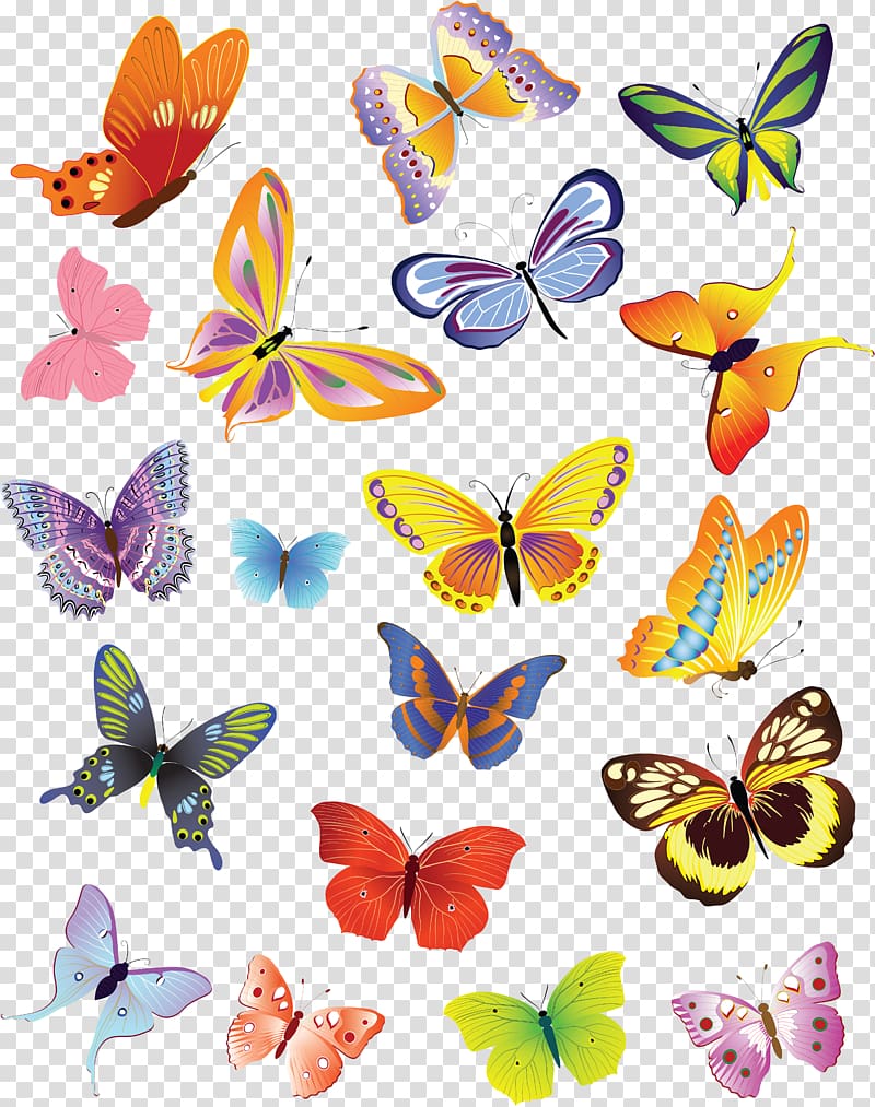 Butterfly Drawing , purple butterfly transparent background PNG clipart