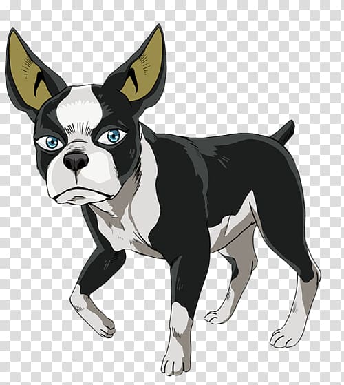 Boston Terrier Dog breed Non-sporting group Breed group (dog) Snout, BOSTON TERRIER transparent background PNG clipart