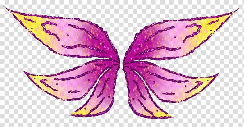 Brush-footed butterflies Illustration Symmetry Pattern, Romeo and Juliet Movie 2014 transparent background PNG clipart