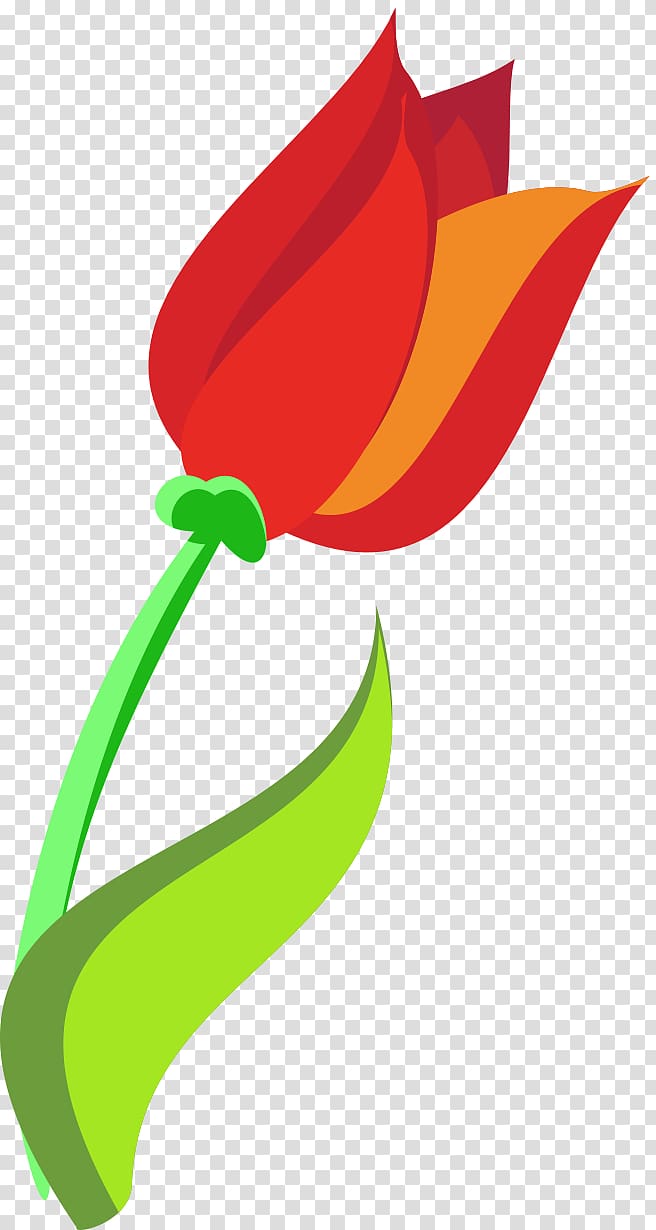 Tulip Cartoon Caricature Flower , tulip transparent background PNG clipart