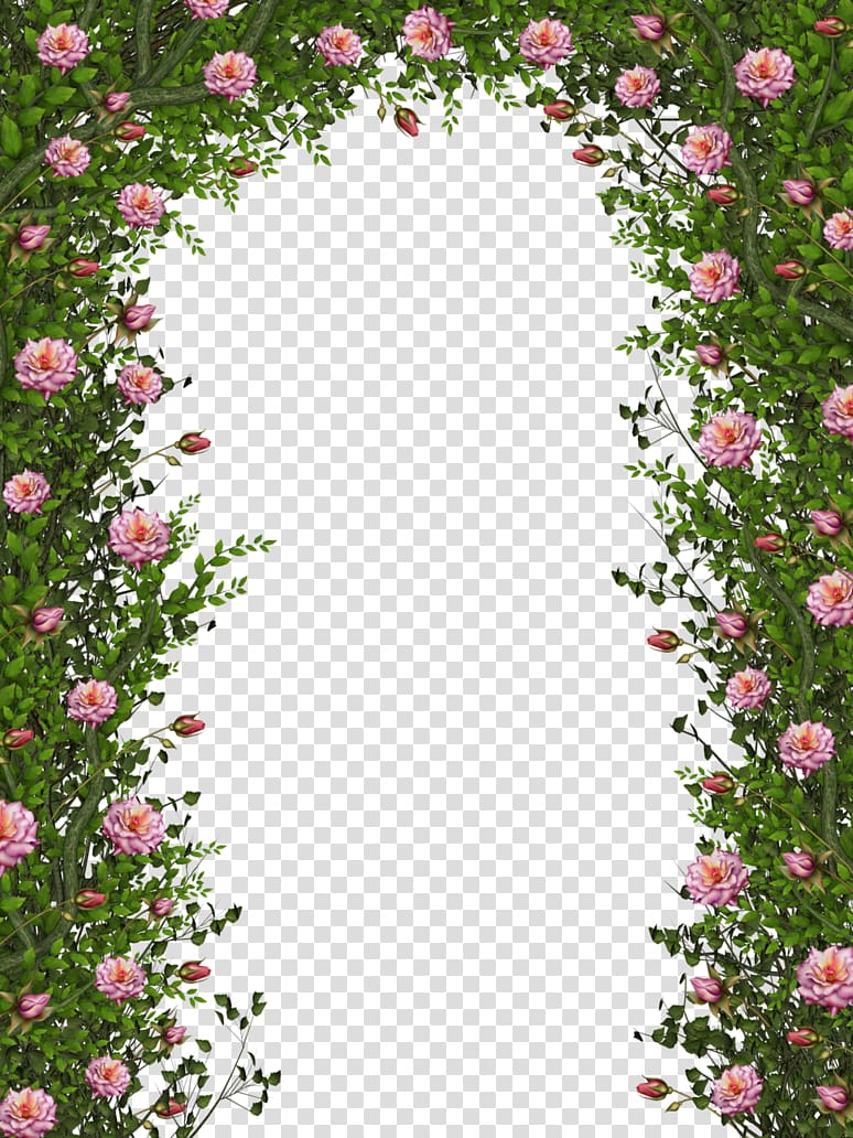 green vines door transparent background PNG clipart