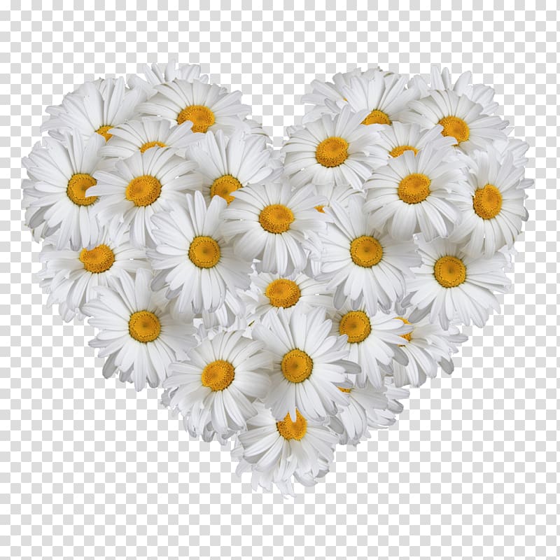 Flower bouquet Matricaria Birthday Gift Love, Birthday transparent background PNG clipart