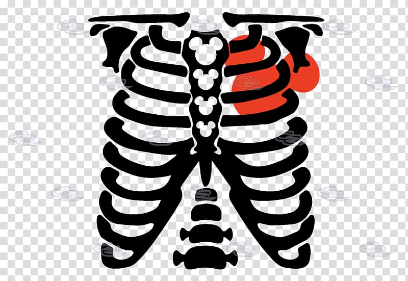 T Shirt Skeleton Heart Thorax Clothing T Shirt Transparent Background Png Clipart Hiclipart - skeleton clipart torso roblox t shirt png transparent cartoon