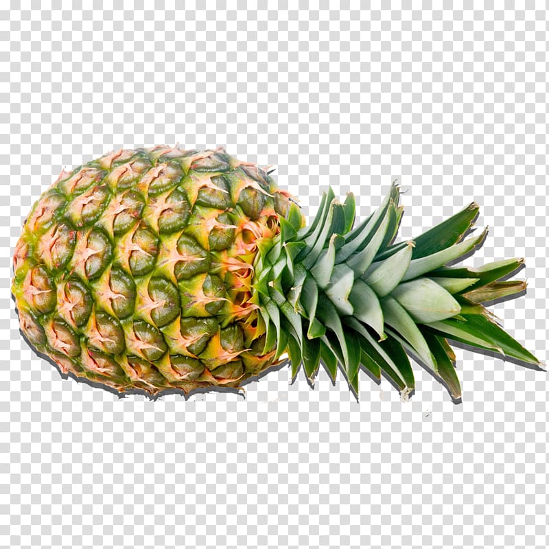 pineapple illustration, Pineapple Fruit Thai cuisine Pomegranate Melon, Small pineapple transparent background PNG clipart