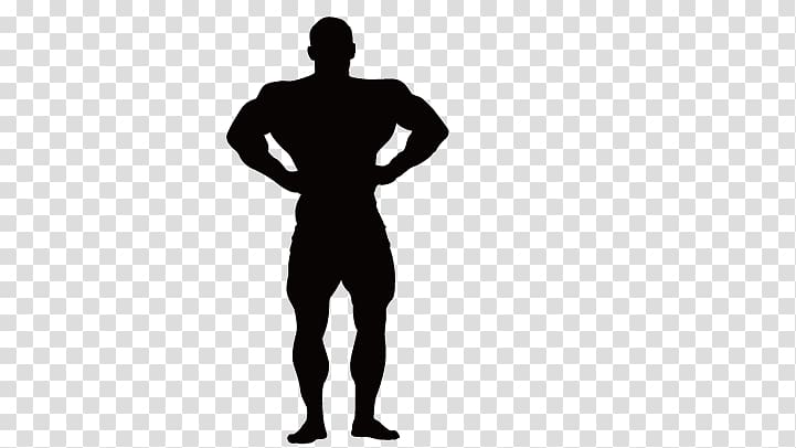 Bodybuilding Silhouette Muscle Physical fitness, Fitness silhouette figures transparent background PNG clipart