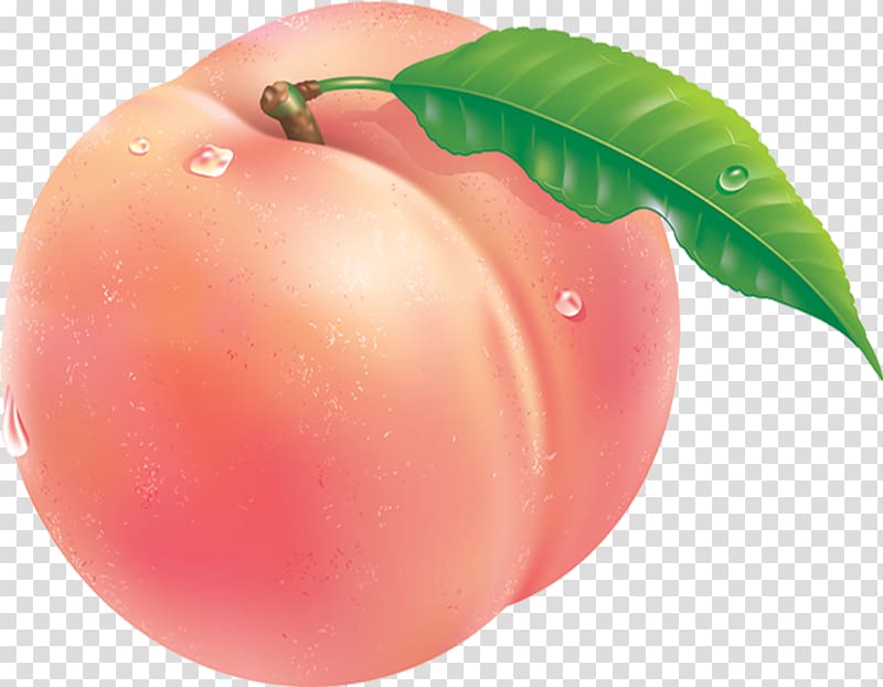 Tomato Peach Auglis Fruit, peach transparent background PNG clipart