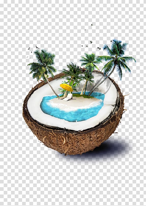 coconut with beach illustration, Fiji Coconut water Beach Island, coconut transparent background PNG clipart