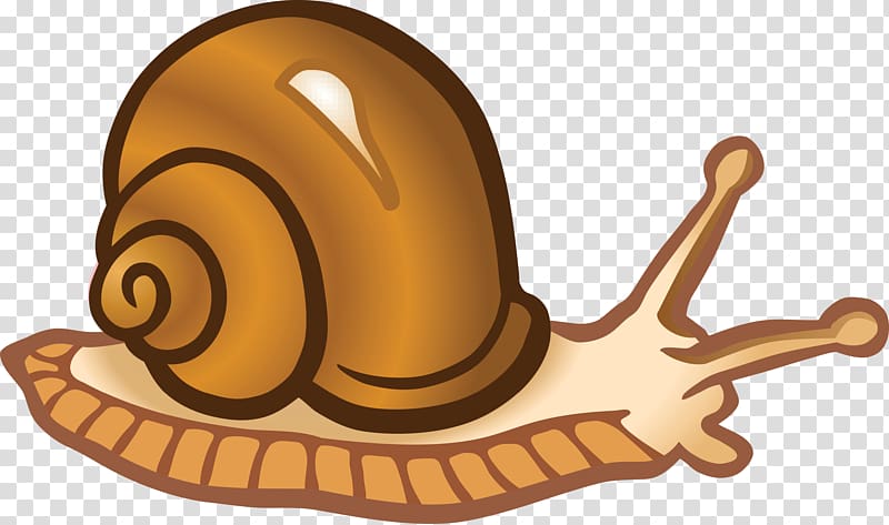 Snail , snails transparent background PNG clipart