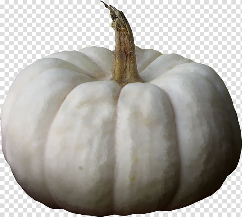 Pumpkin Calabaza Winter squash Wax gourd, Old white pumpkin transparent background PNG clipart
