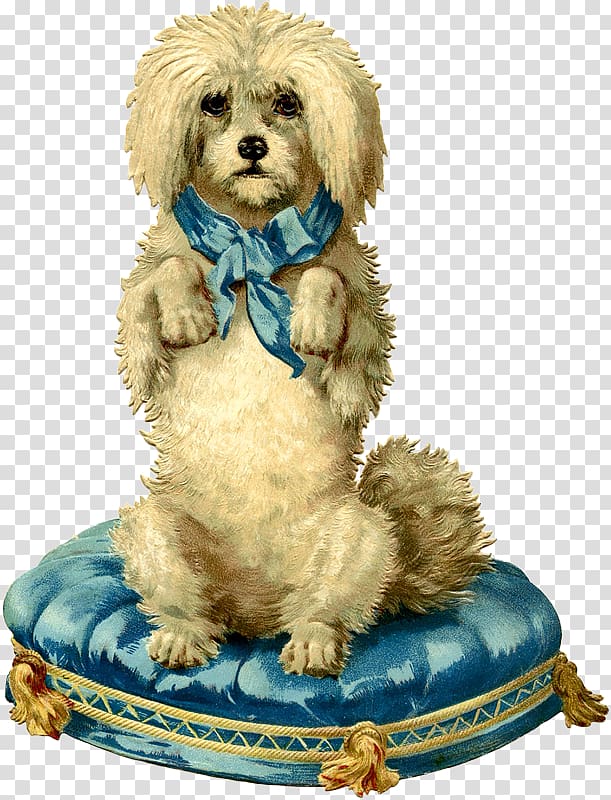 Maltese dog Cockapoo Goldendoodle Shih Tzu Golden Retriever, golden retriever transparent background PNG clipart