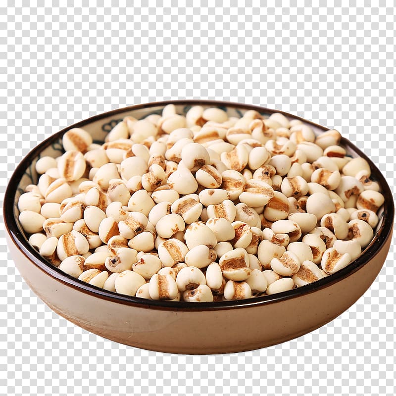 Adlay Barley Rice Cereal, A barley rice transparent background PNG clipart