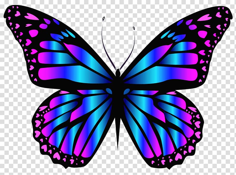 Butterfly Purple Blue , Blue and Purple Butterfly Clipar , blue and pink butterfly illustration transparent background PNG clipart