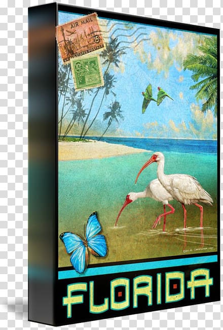 Advertising Canvas print Ecosystem Fauna Bird, travel posters transparent background PNG clipart