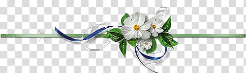 elegant flowers dividing line transparent background PNG clipart