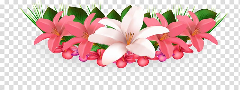 Flower Hawaiian hibiscus , lily transparent background PNG clipart