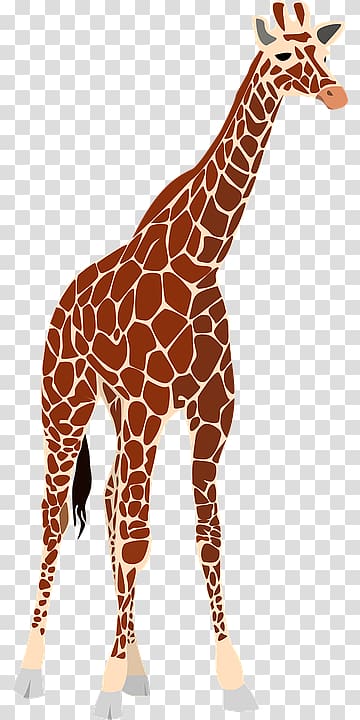 Giraffe transparent background PNG clipart