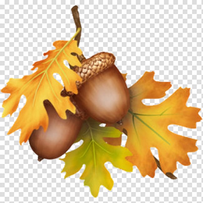 Acorn Thanksgiving Tree , wounded heart transparent background PNG clipart