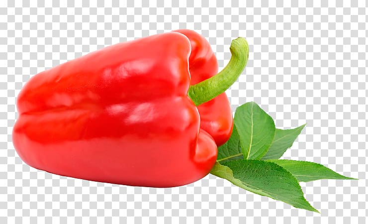 Habanero Piquillo pepper Bird's eye chili Tabasco pepper Jalapeño, Chile pepper transparent background PNG clipart