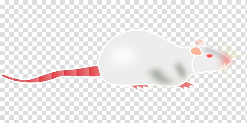 Rat Mouse Rodent Murids, Rat & Mouse transparent background PNG clipart