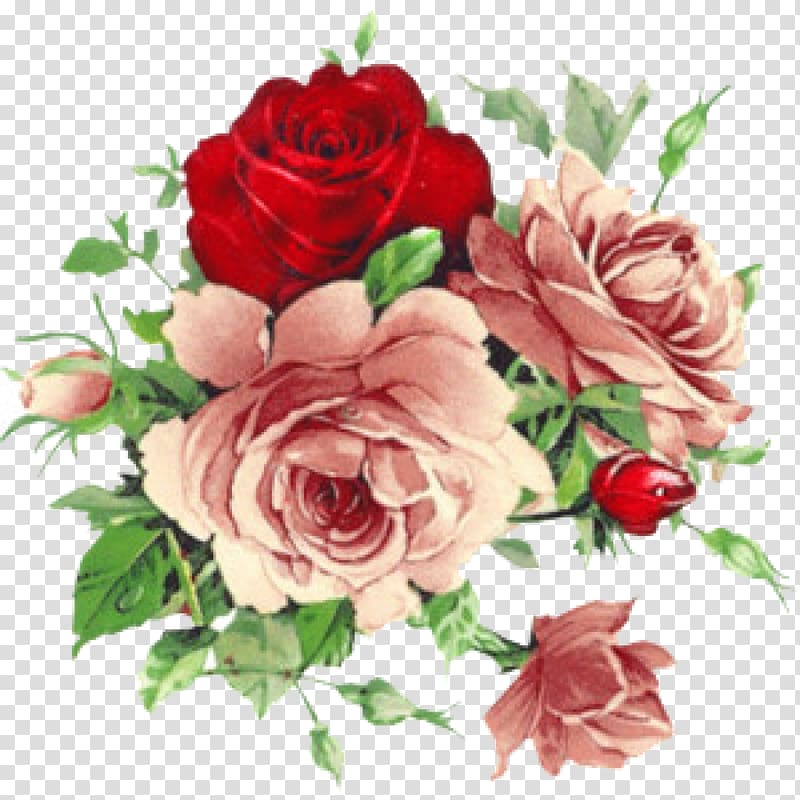 pink and red rose flower , Vintage Roses: Beautiful Varieties for Home and Garden Flower , banquet transparent background PNG clipart