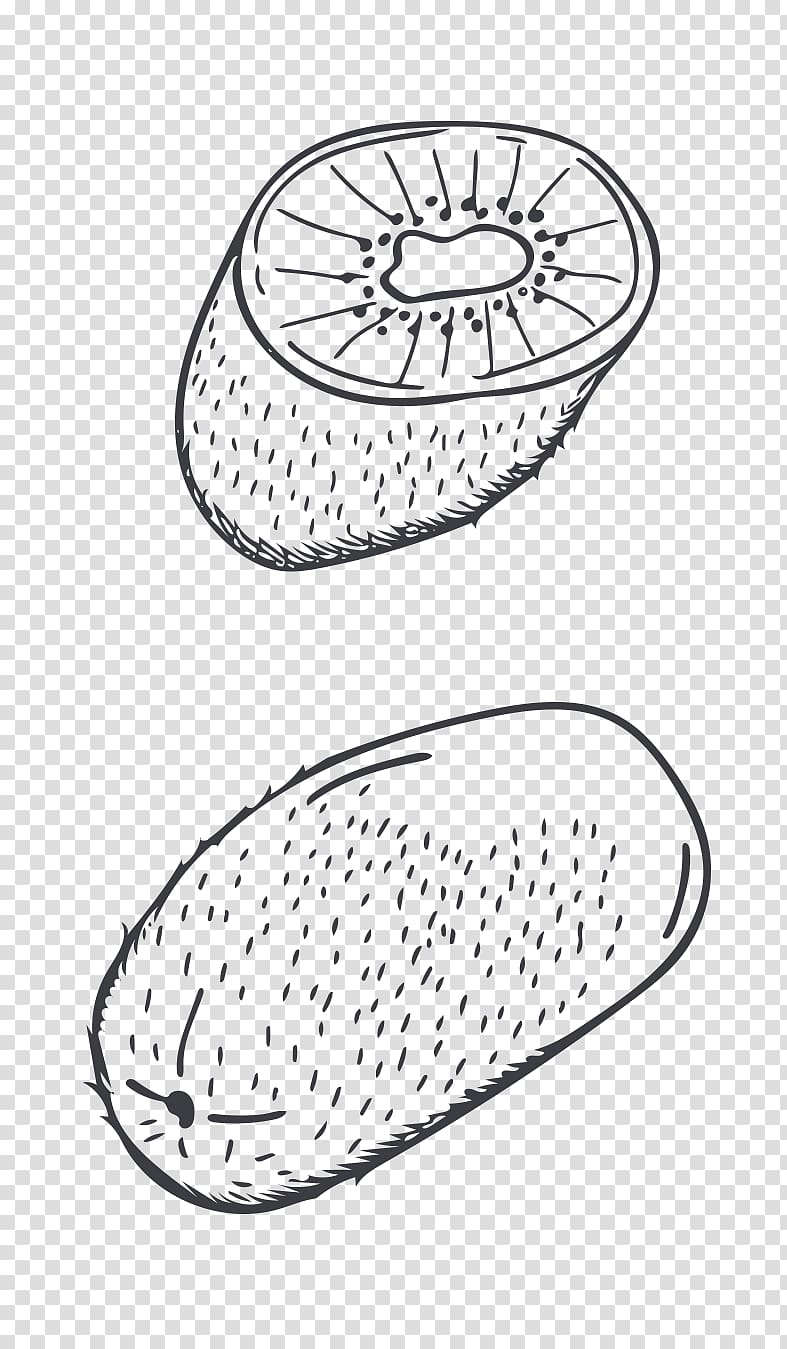 Kiwifruit Cartoon Drawing, Hand-painted cartoon kiwi fruit transparent background PNG clipart