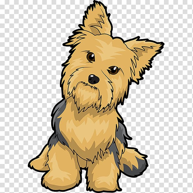 Yorkshire Terrier Puppy Maltese dog English Toy Terrier , puppy transparent background PNG clipart