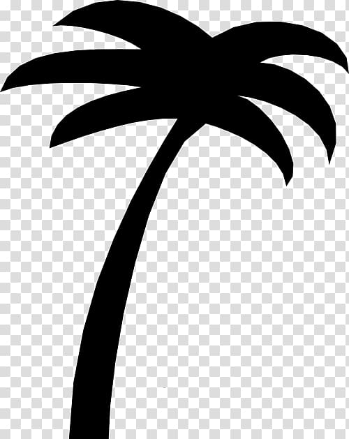 Sabal Palm Arecaceae Tree , tree transparent background PNG clipart