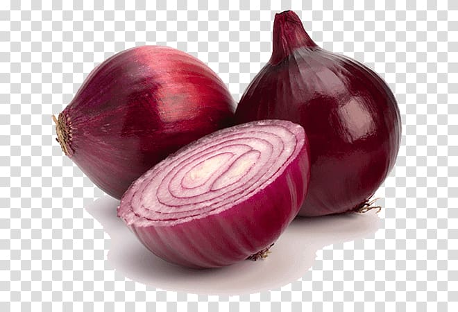 Portable Network Graphics Red onion Transparency White onion, onion powder transparent background PNG clipart