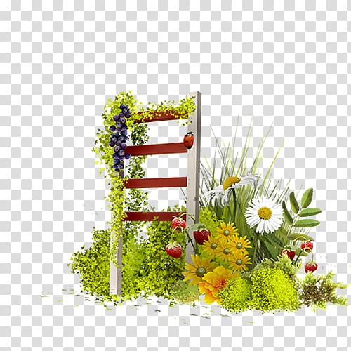 Flower , Garden ladder transparent background PNG clipart